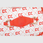 EMPORIO HOBO Orange BAG